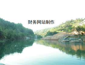 caiwuwangzhanzhizuo.jpg