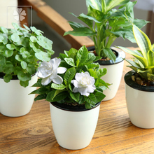 Cloud Zoom small image