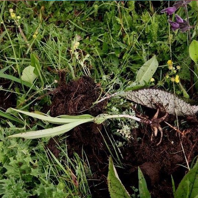 Cloud Zoom small image