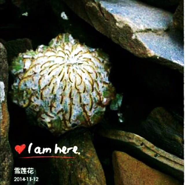 Cloud Zoom small image