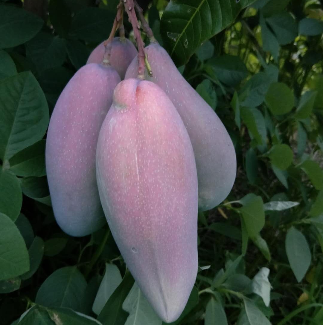 Cloud Zoom small image