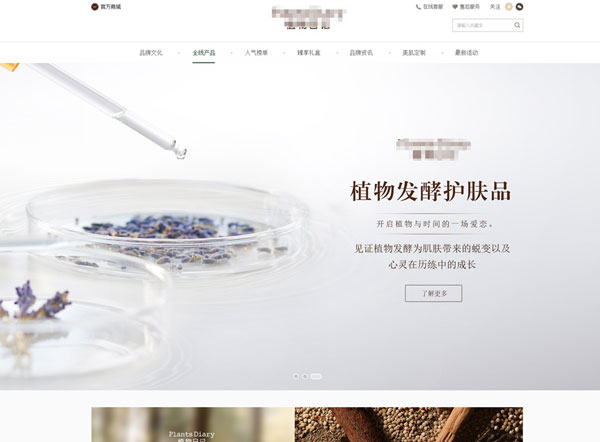 化妆品公司网站建设项目