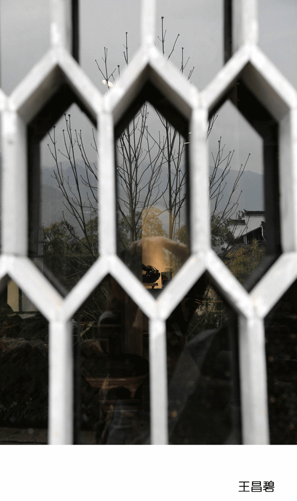 2017上期摄影班学员王昌碧作品
