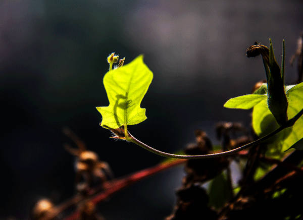 2017下期摄影班李昌伦老师作品