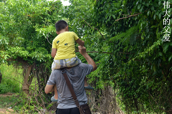 2017下期摄影班王昌碧学员作品