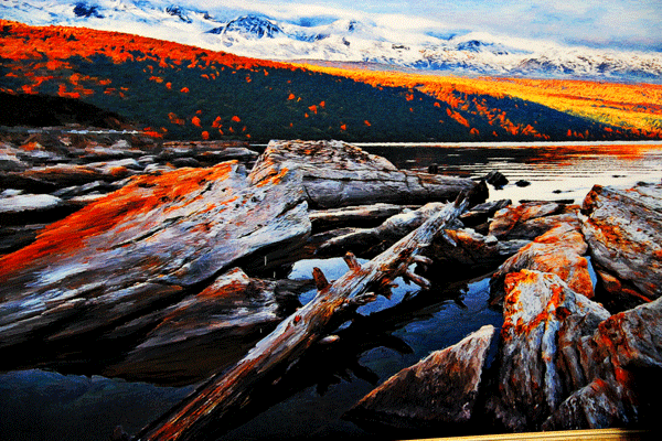 2017下期摄影班胡国容学员作品