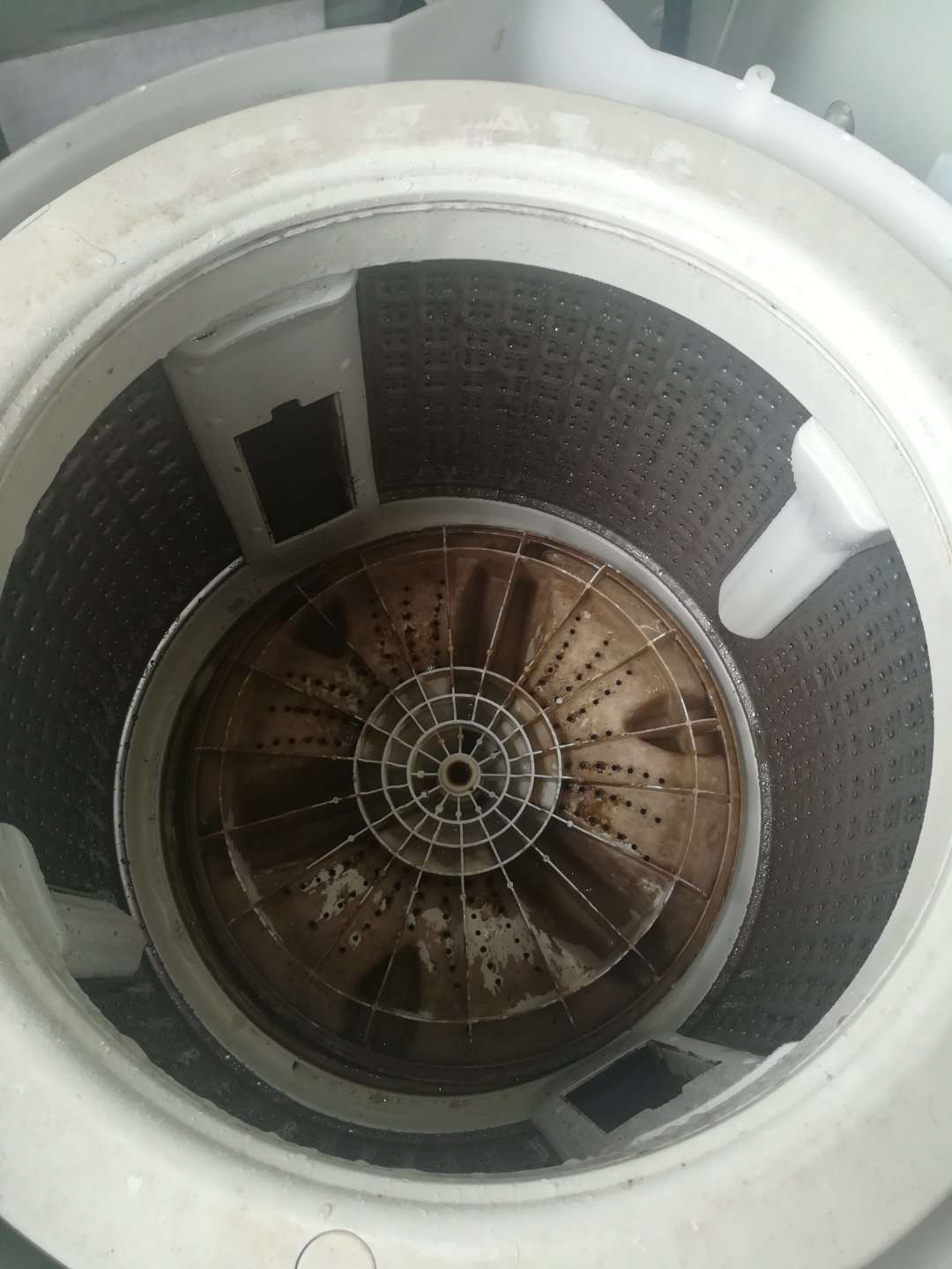 20200404192048_51561.jpg
