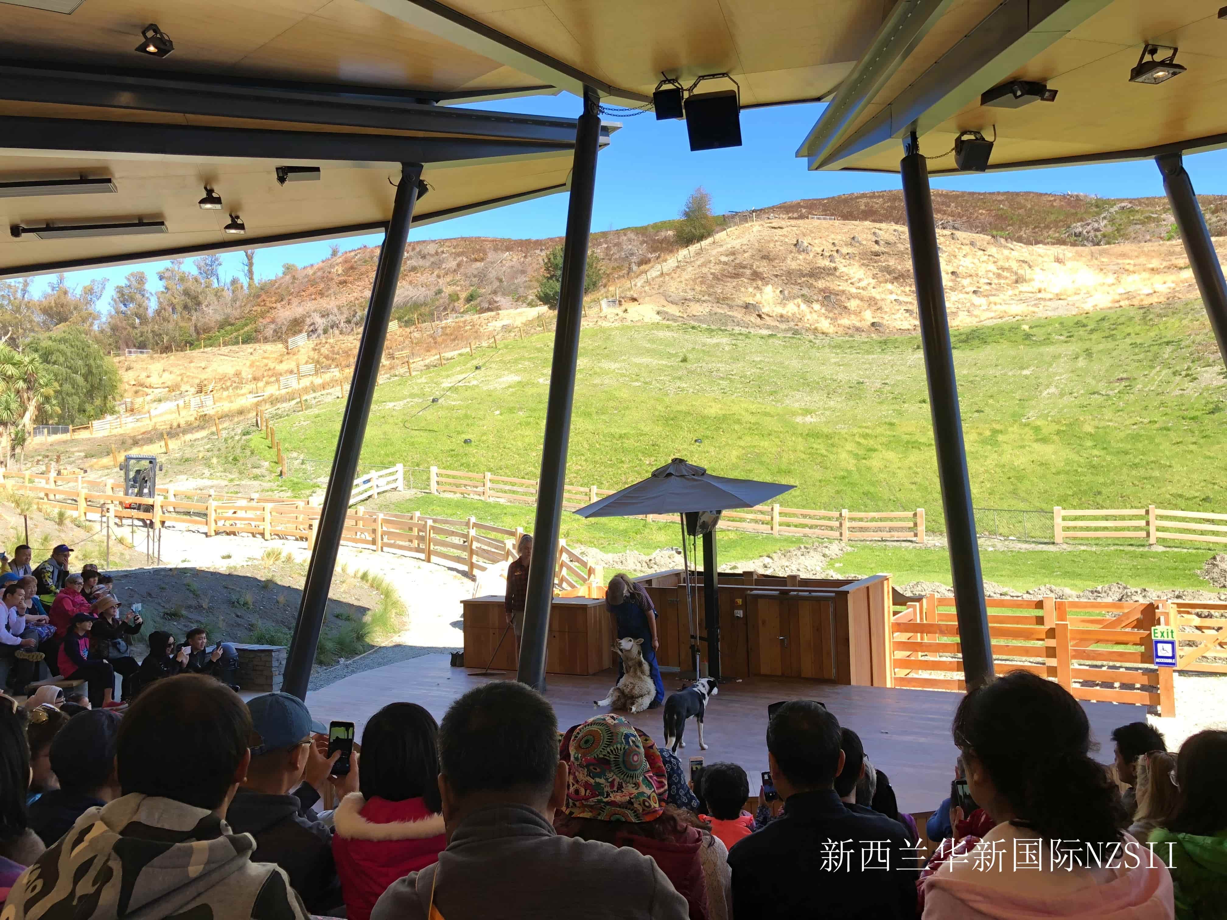 烟台外国语学校