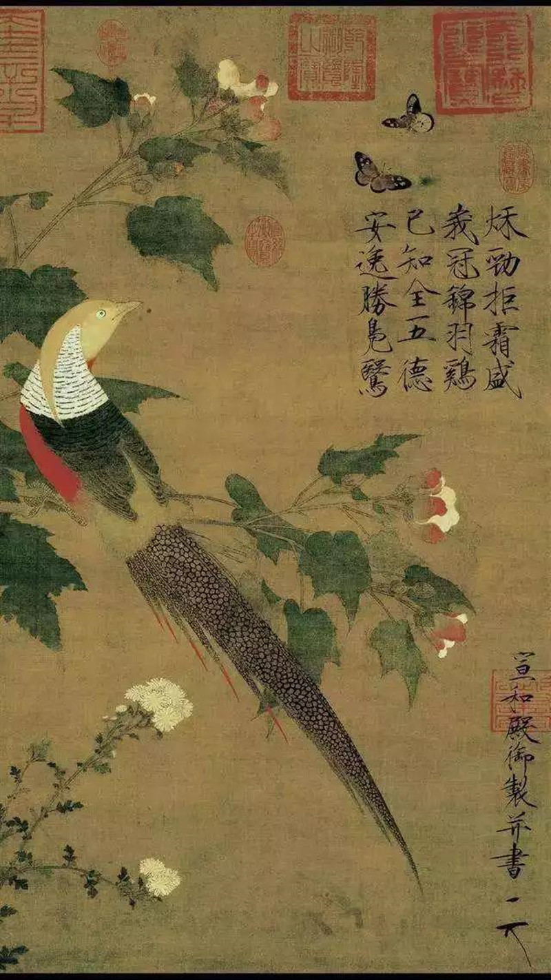 北宋 赵佶《芙蓉锦鸡图》