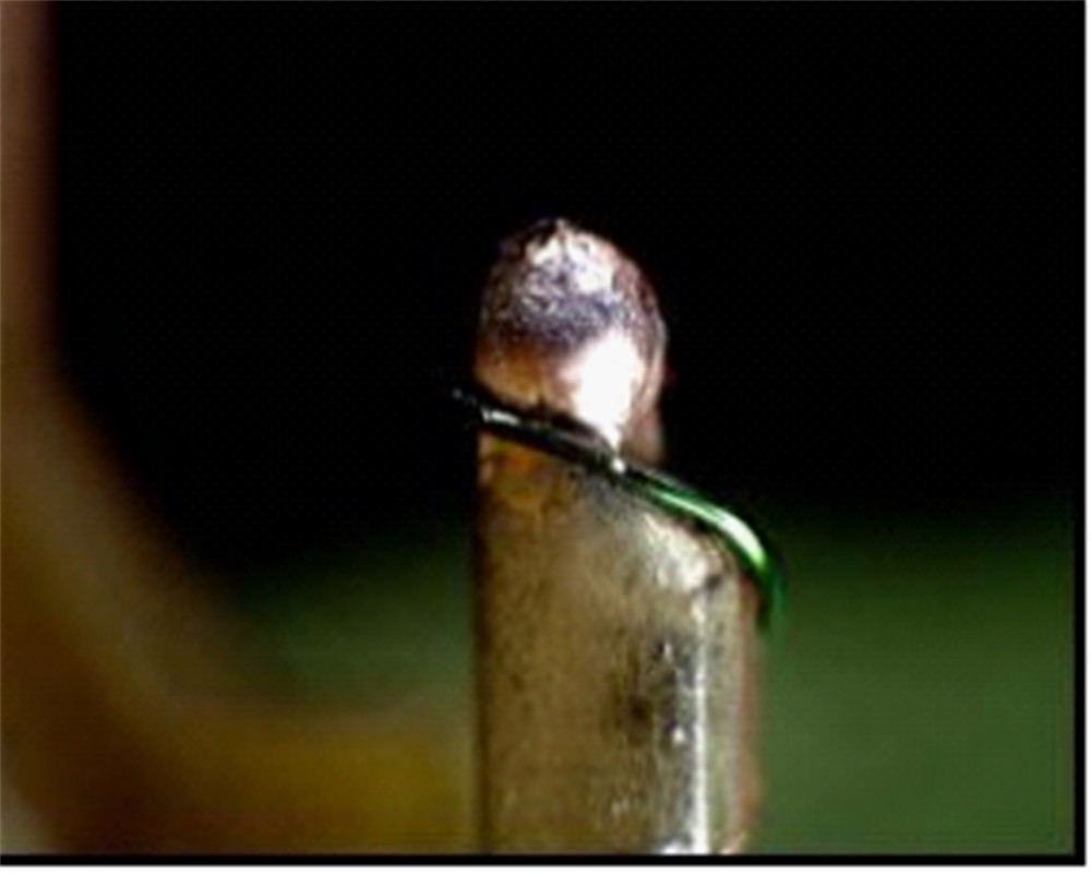 漆包线焊接（前）