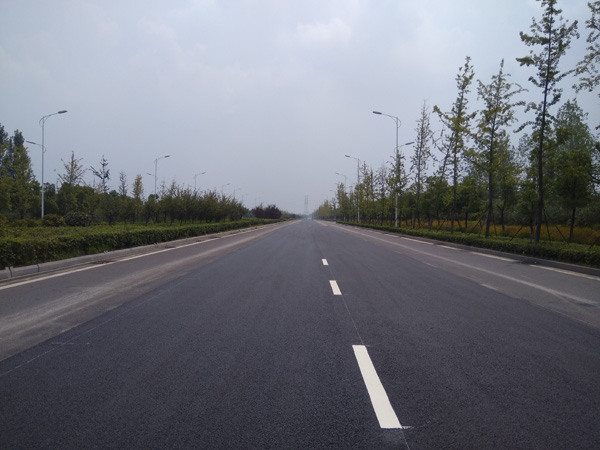 洪武路道路標(biāo)線施工