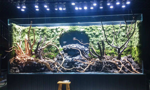 植物墙4
