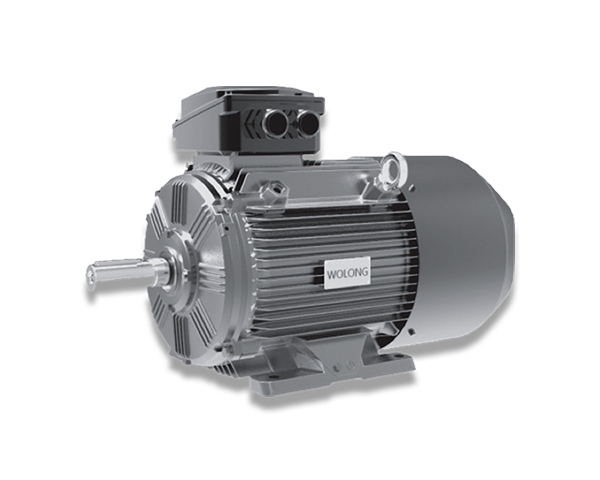 WE4系列超高效三相异步电动机
