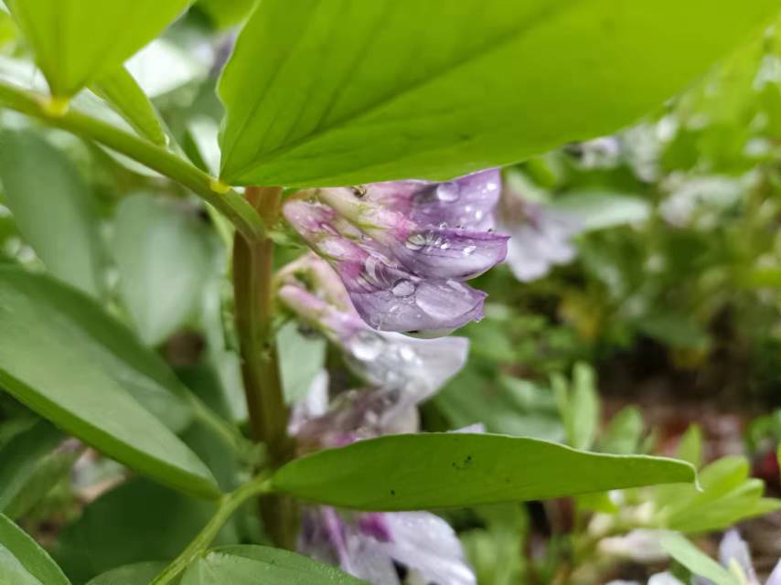 老苏服务日记2023年3月22日
