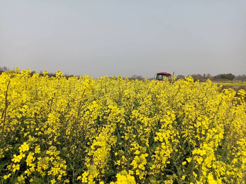 老苏服务日记2023年3月23日