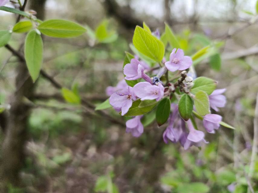 老苏服务日记2023年3月28日