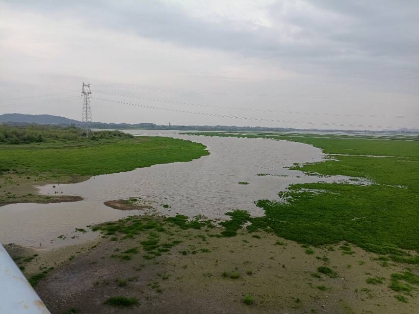老苏服务日记2023年4月6日