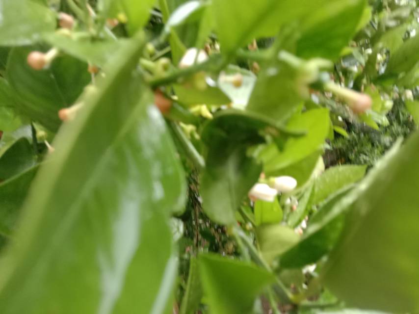 老苏服务日记2023年4月23日