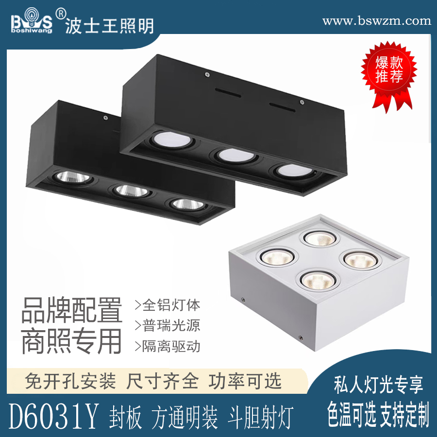 D6031Y封板 明装 斗胆射灯80.jpg
