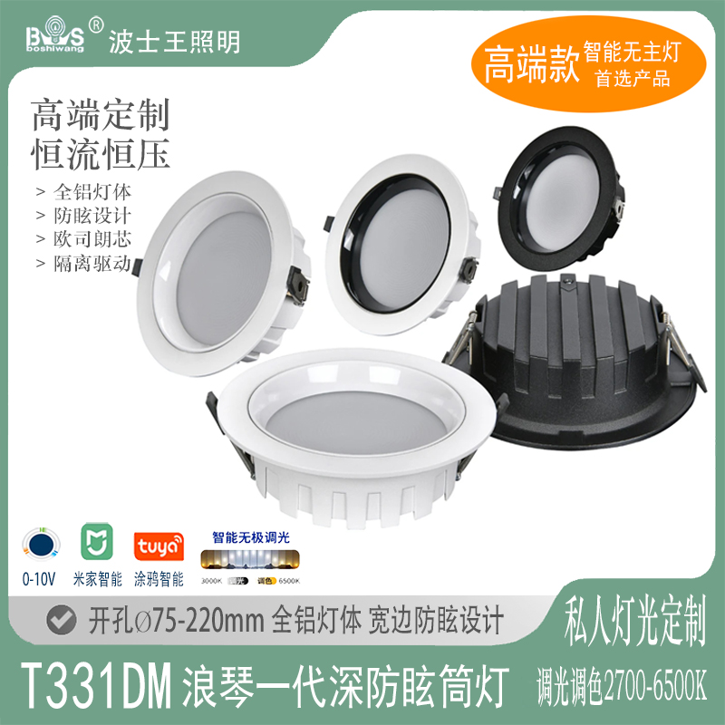 T331DM浪琴25.jpg