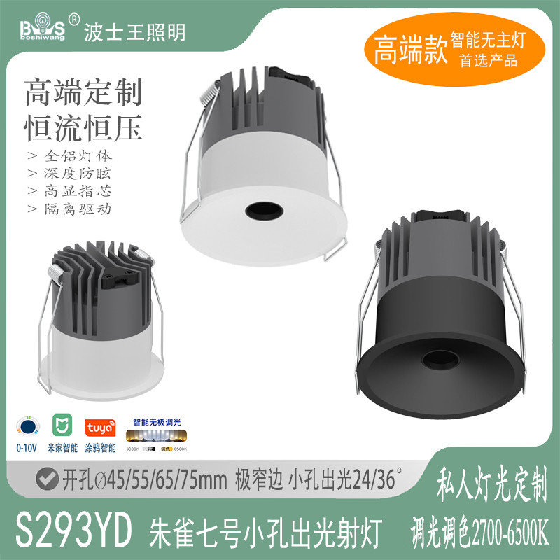 S295YD朱雀七号 小孔射灯30 - 副本.jpg