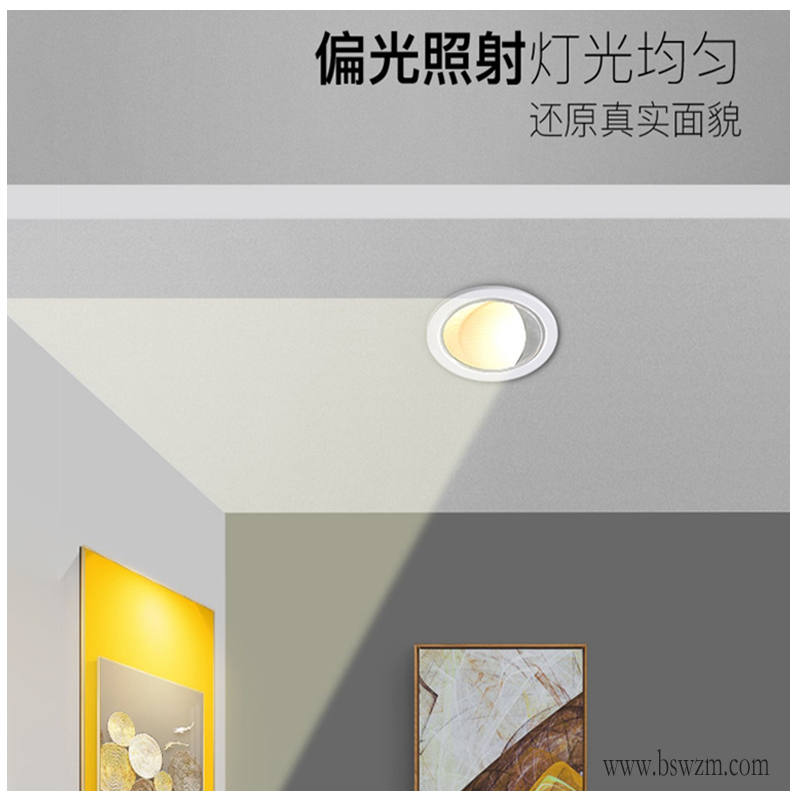 S508S3偏光 (3).jpg