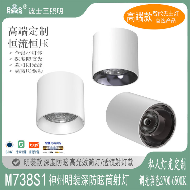 M738S1神州二代 明装60.jpg