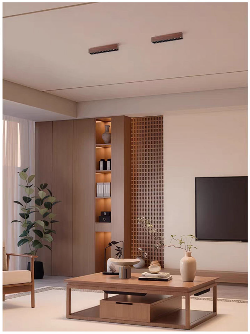 S5038YT艺佳 长条筒射灯18.jpg