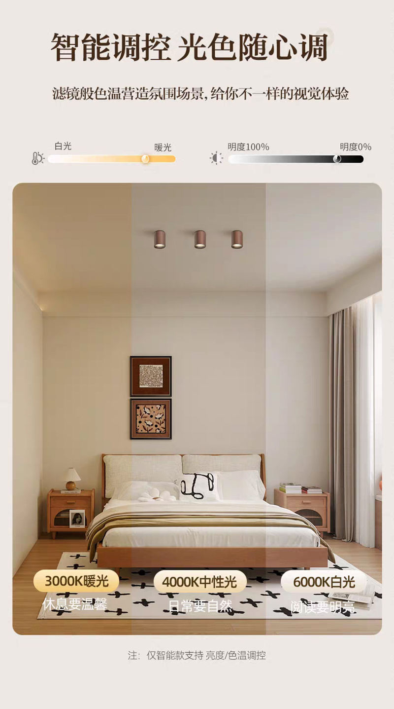 S5040YT不可调 明装射灯15.jpg