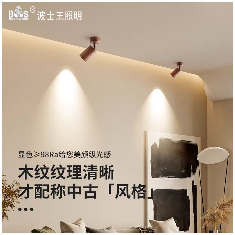 S5041YT万向可调 明装射灯50.jpg