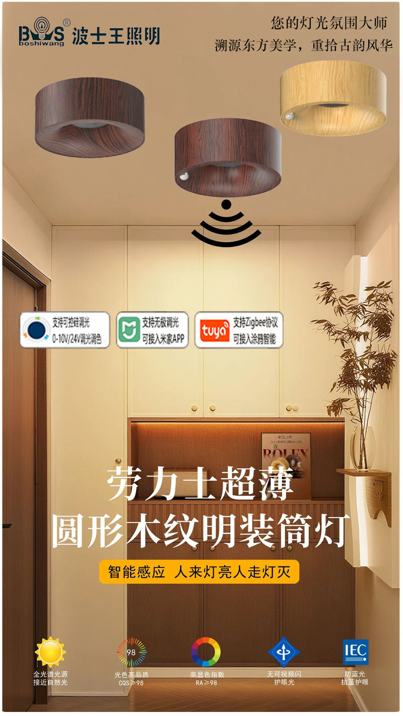 S5054YH劳力士 明装射灯11.jpg