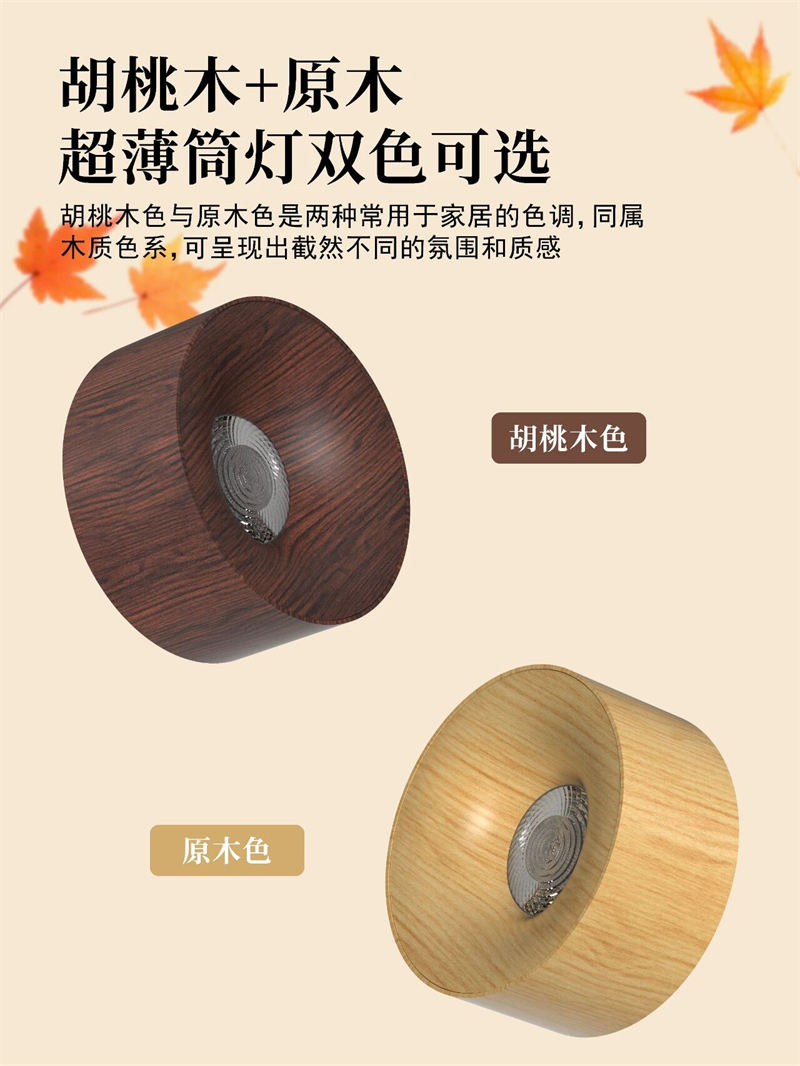 S5054YH劳力士 明装射灯52.jpg