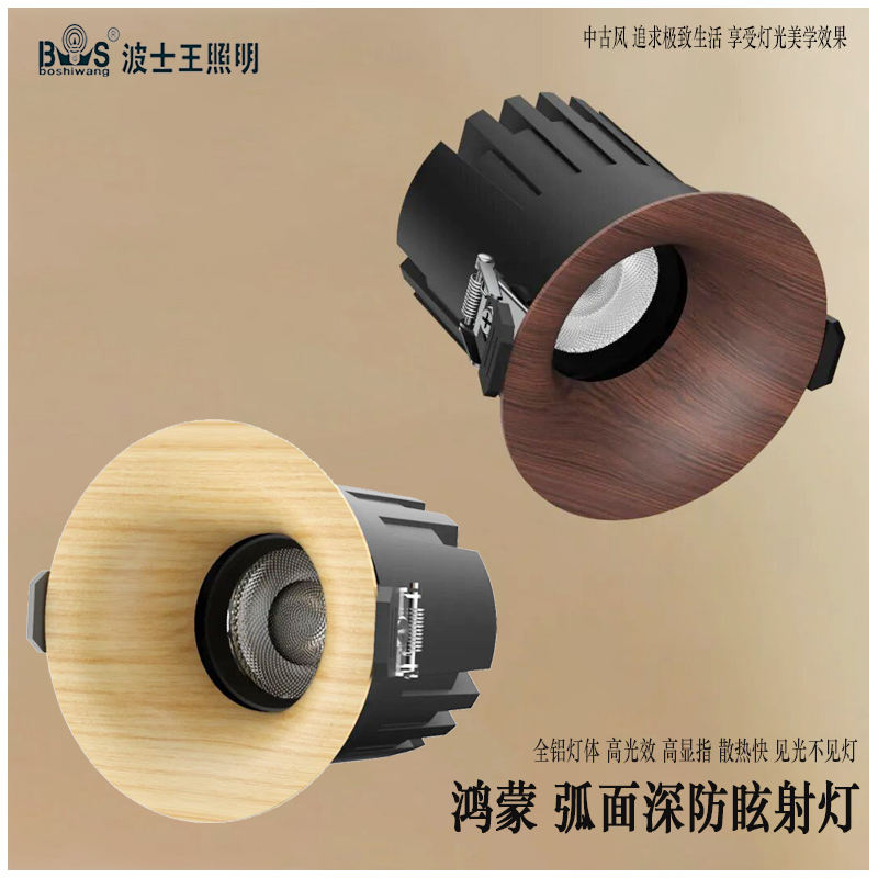 S5055YT鸿蒙 弧面射灯50.jpg