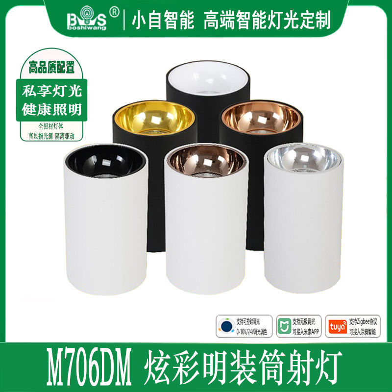 M706M1炫彩 明装筒灯40.jpg