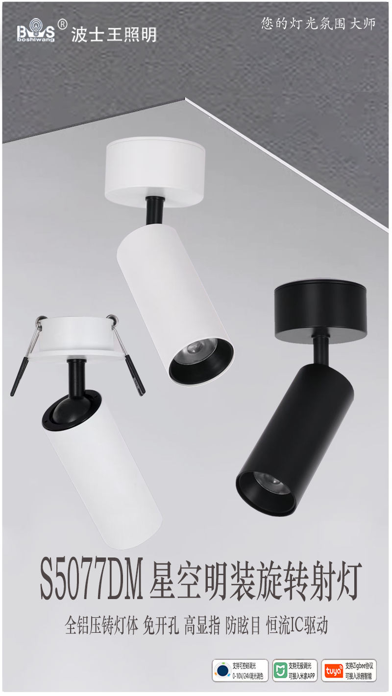 S5077DM星空 可旋转 明装射灯1.jpg