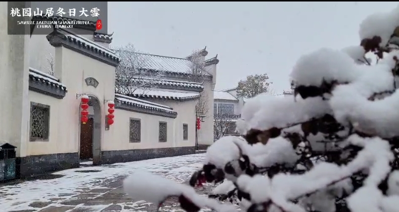 雪花邂逅大地，冬天的冷才有了意义