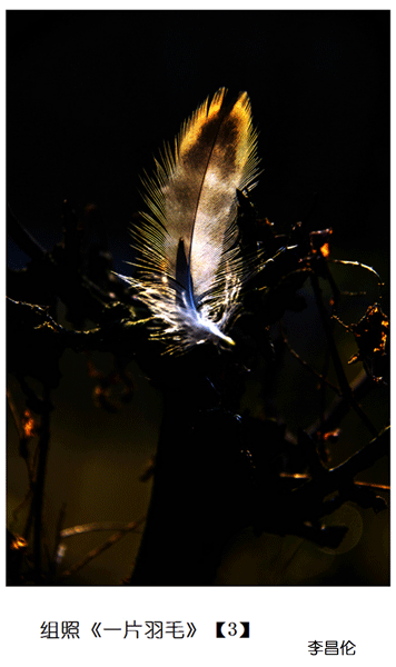 2019上期摄影班李昌伦老师作品