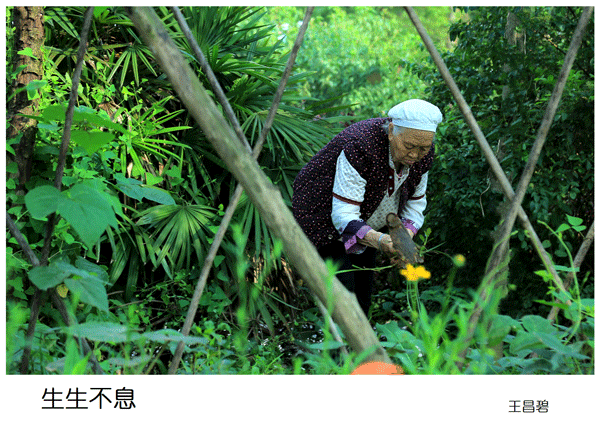 2019上期摄影班学员王昌碧作品1