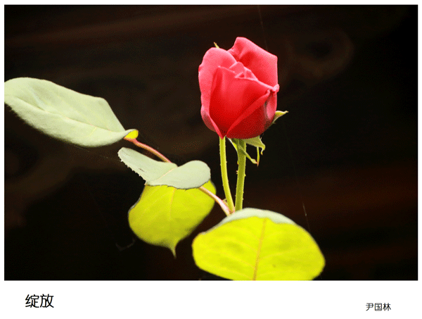 2019上期摄影班学员尹国林作品1