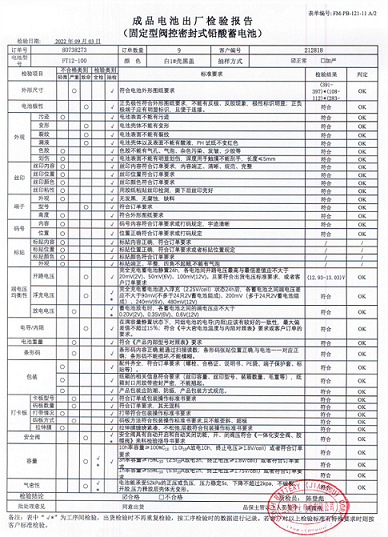 FT100出厂检验报告 - 副本.png