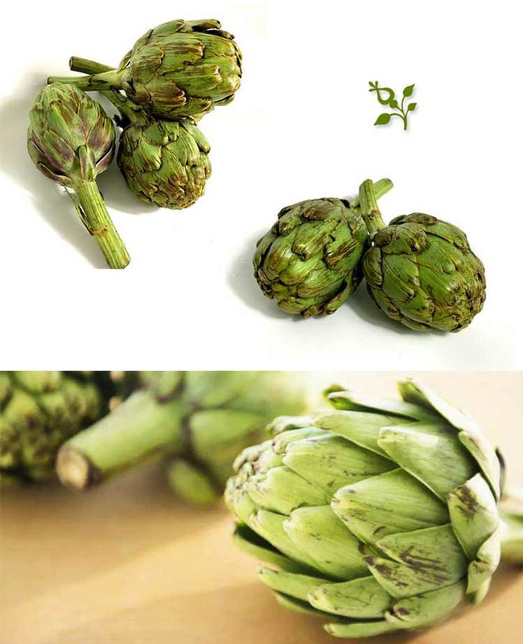 洋蓟罐头即食礼盒装400g*3西餐作料前菜沙拉原料蔬菜罐头蓟菜心