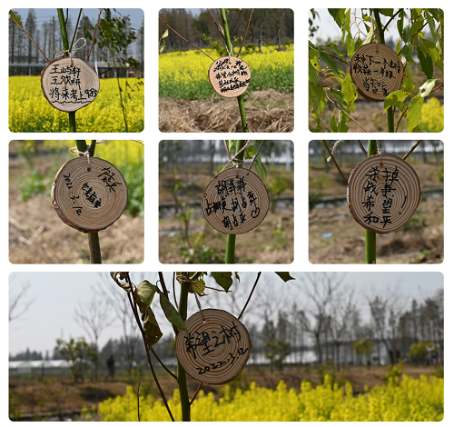 践行环保理念，共创绿水青山丨江西普联开展植树节活动
