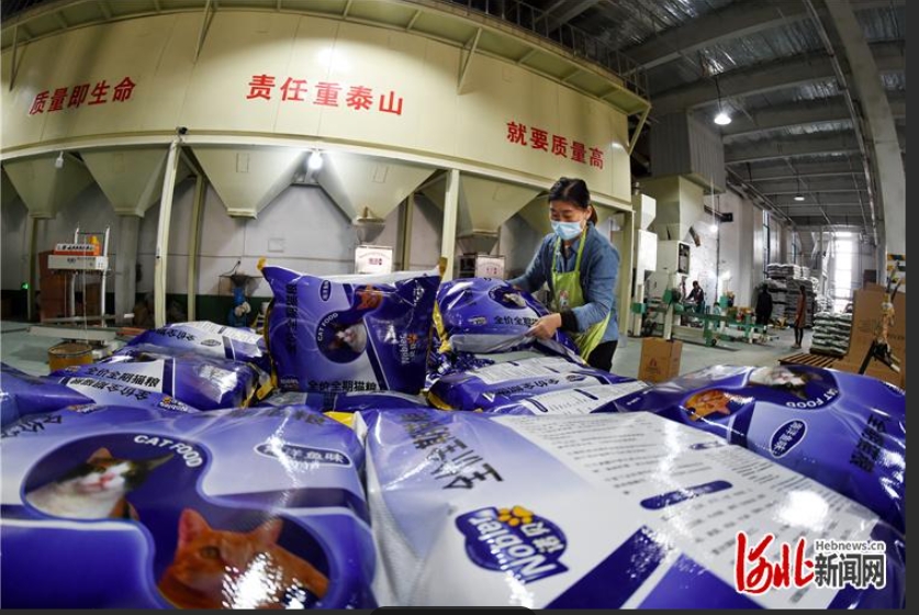 宠物粮虚标成分？邢台市南和区：开展宠物食品生产销售行业排查整治