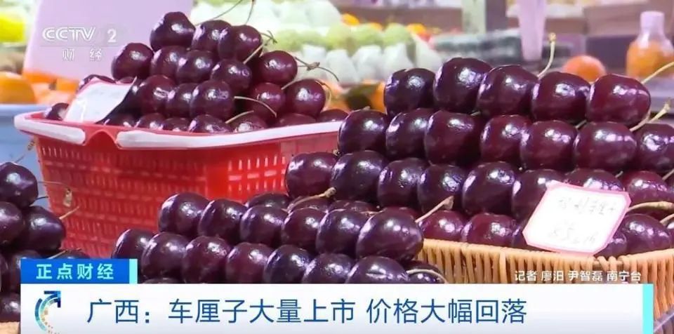 20250108101223_17815.jpg 微信图片_20250108101047.jpg