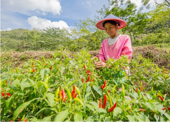 20250210155319_60934.jpg 微信截图_20250210155303.jpg