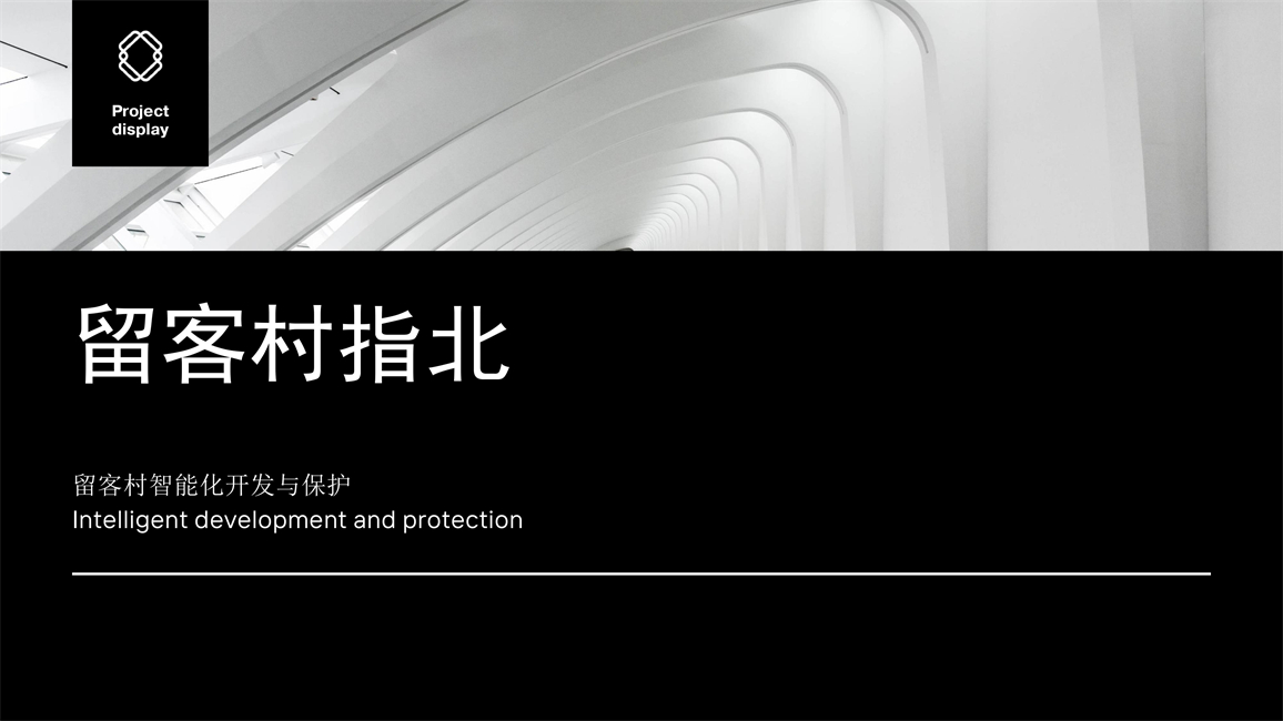 2011501073鲁力留客村策划数字化_1.jpg