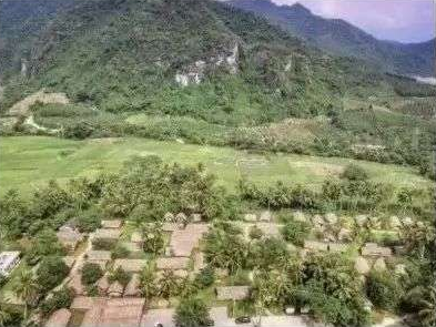 扬帆起航·白查