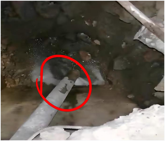 20251122214315_86546.jpg 564477888(1).jpg