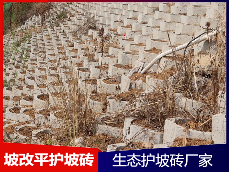 坡改平生态护坡砖工程案例