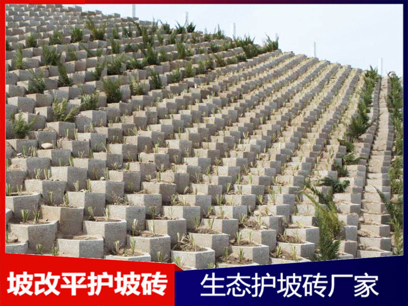坡改平护坡砖案例展示